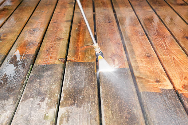 Best Driveway Pressure Washing  in Eatonville, FL